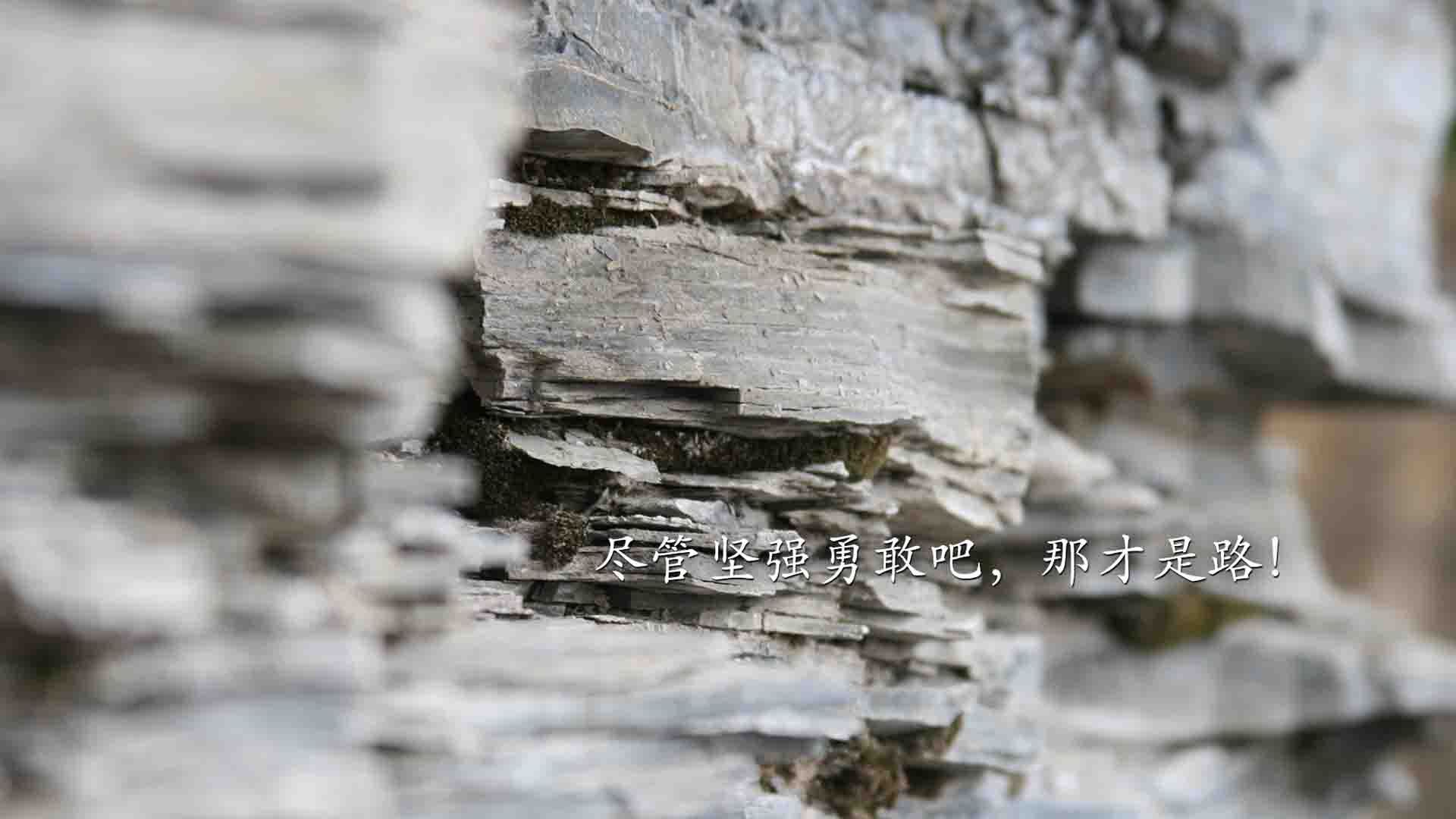 伊布一锤定音，巨星光芒照亮波日之战
