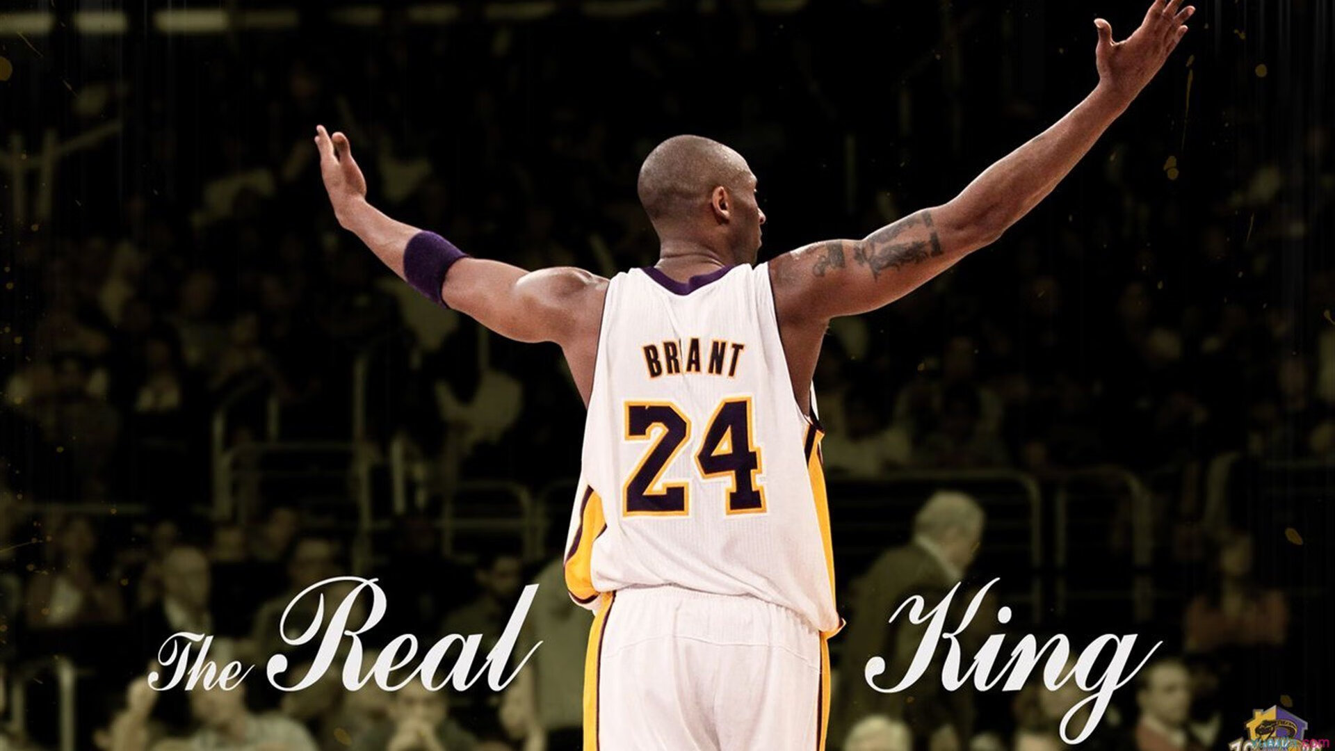 F1新赛季揭幕战之夜，库尔图瓦稳定输出不掉线，跨界对话中的稳定哲学